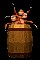 barrelomonkeys_sm_clr.gif