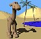 camel1.gif