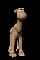 camelBLK.gif