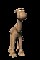 camelCLR.gif