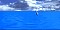 dolphin2_jpm_sm_sky.gif