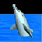dolphin_tread_med_clr.gif