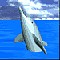 dolphin_tread_med_sky.gif