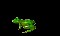 frogCLR.gif