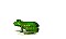 frogWHT.gif