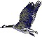 goose.gif